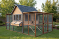 Premium Chicken Loft